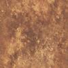Rost