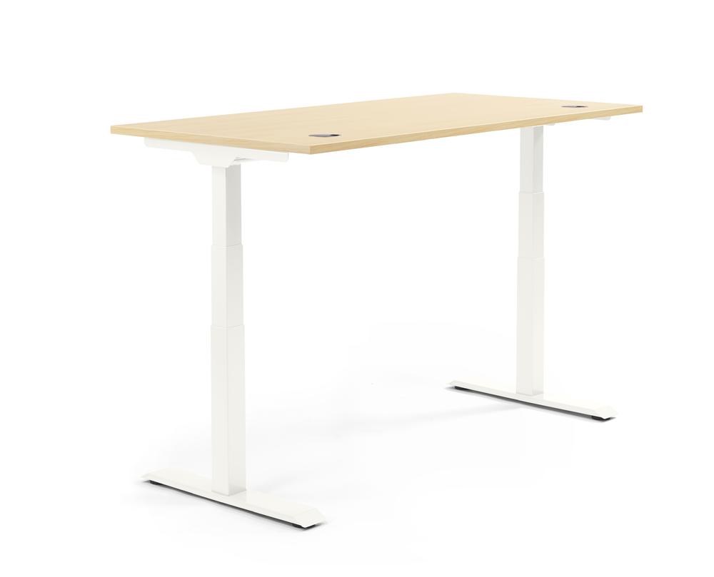 Höhenverstellbarer Schreibtisch FLEX MODUL | Ahorndekor | 1600 | Weiß