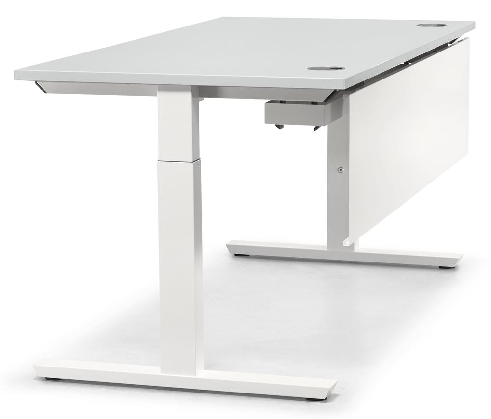 Schreibtisch T-Fuß PROFI MODUL | Lichtgrau | 2000 | Weiß