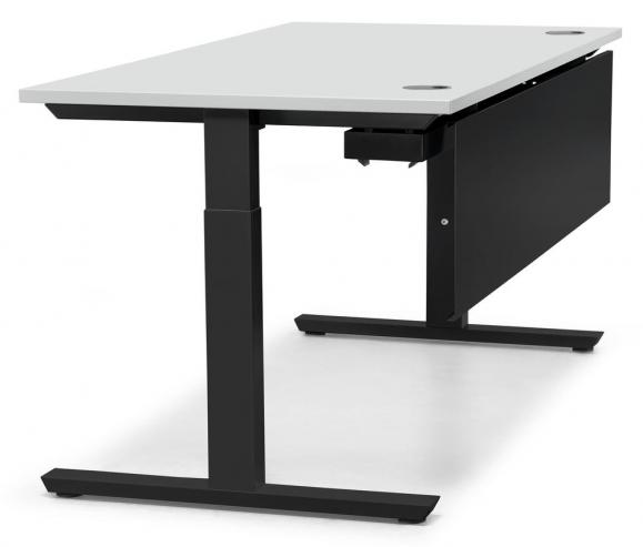 Schreibtisch T-Fuß PROFI MODUL Lichtgrau | 1200 | Schwarz RAL 9005